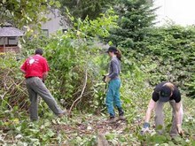 repository_102-Thumbnail Image.jpg