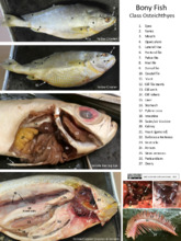 repository_1116-Thumbnail Image.jpg