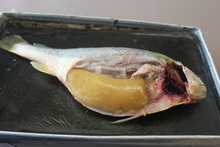 repository_1133-Thumbnail Image.jpg