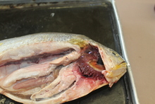 repository_1139-Thumbnail Image.jpg
