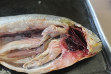 repository_1143-Thumbnail Image.jpg
