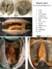 repository_1150-Thumbnail Image.png