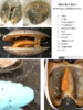 repository_1151-Thumbnail Image.png