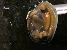 repository_1173-Thumbnail Image.jpg