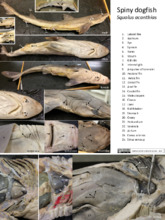 repository_1174-Thumbnail Image.jpg