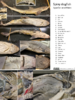 repository_1175-Thumbnail Image.png