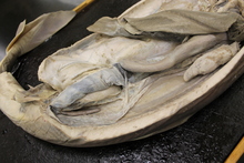 repository_1187-Thumbnail Image.jpg