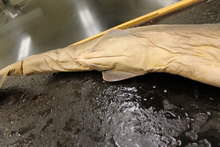 repository_1191-Thumbnail Image.jpg