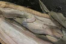 repository_1194-Thumbnail Image.jpg