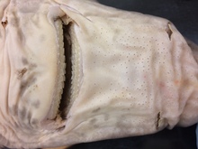 repository_1200-Thumbnail Image.jpg