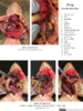 repository_1208-Thumbnail Image.png
