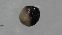 repository_1209-Thumbnail Image.jpg