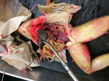 repository_1216-Thumbnail Image.jpg