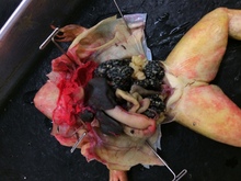 repository_1220-Thumbnail Image.jpg