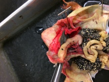 repository_1221-Thumbnail Image.jpg