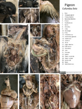 repository_1224-Thumbnail Image.jpg