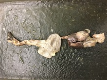repository_1228-Thumbnail Image.jpg
