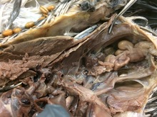 repository_1243-Thumbnail Image.jpg