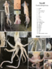 repository_1274-Thumbnail Image.png