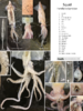 repository_1275-Thumbnail Image.png