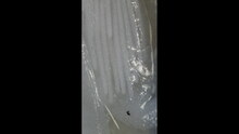 repository_1276-Thumbnail Image.jpg