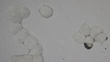 repository_1277-Thumbnail Image.jpg