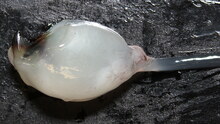 repository_1278-Thumbnail Image.jpg