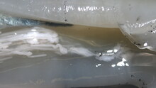 repository_1279-Thumbnail Image.jpg