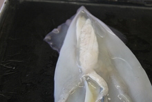 repository_1295-Thumbnail Image.jpg