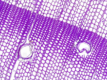 repository_1442-Thumbnail Image.jpg