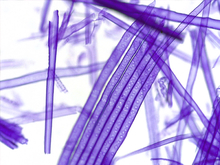 repository_1444-Thumbnail Image.jpg