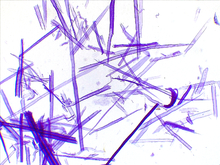 repository_1445-Thumbnail Image.jpg