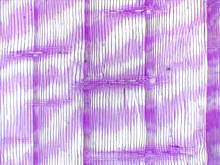 repository_1446-Thumbnail Image.jpg