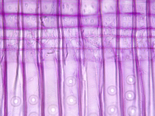 repository_1447-Thumbnail Image.jpg