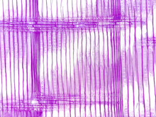 repository_1448-Thumbnail Image.jpg