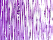 repository_1449-Thumbnail Image.jpg
