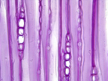 repository_1450-Thumbnail Image.jpg