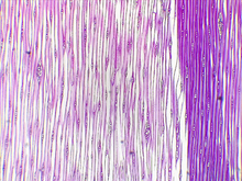 repository_1451-Thumbnail Image.jpg