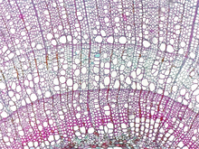 repository_1452-Thumbnail Image.jpg
