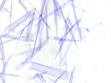 repository_1456-Thumbnail Image.jpg