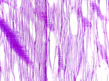 repository_1457-Thumbnail Image.jpg