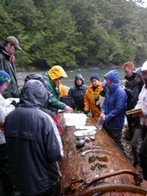repository_146-Thumbnail Image.jpg
