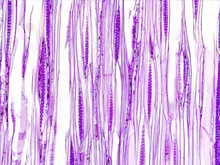 repository_1460-Thumbnail Image.jpg