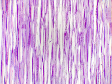 repository_1461-Thumbnail Image.jpg