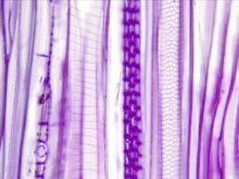 repository_1462-Thumbnail Image.jpg