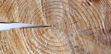 repository_1463-Thumbnail Image.jpg