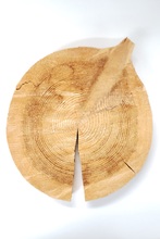 repository_1466-Thumbnail Image.jpg