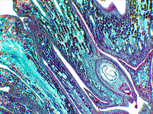 repository_1486-Thumbnail Image.jpg