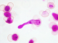 repository_1489-Thumbnail Image.jpg