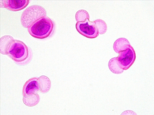 repository_1490-Thumbnail Image.jpg